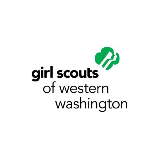 Screenshot of data report on Washington State girls' mental health